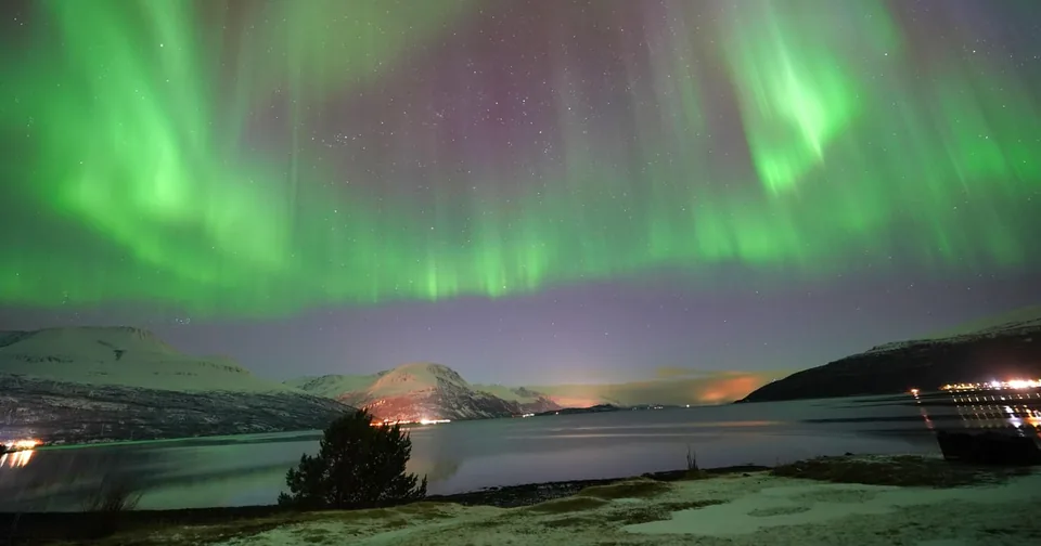 Green aurora curtains over a snowy mountain at night